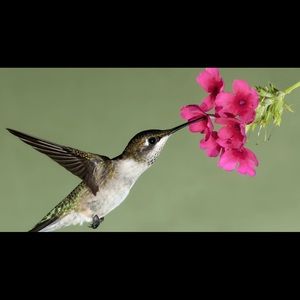 Meet your Posher, Kendra